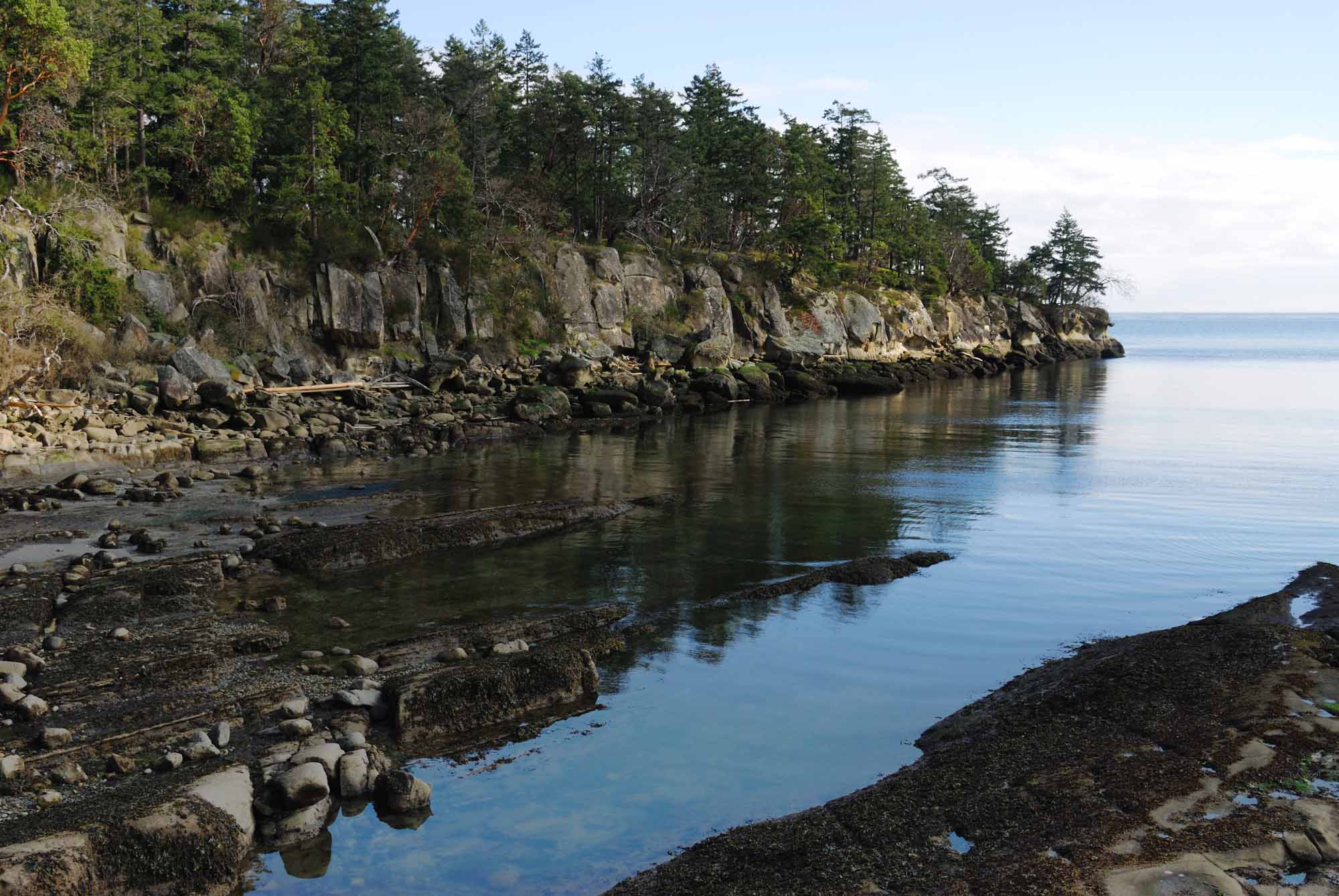 Image Source: https://www.thecanadianencyclopedia.ca/en/article/gulf-islands-national-park-reserve