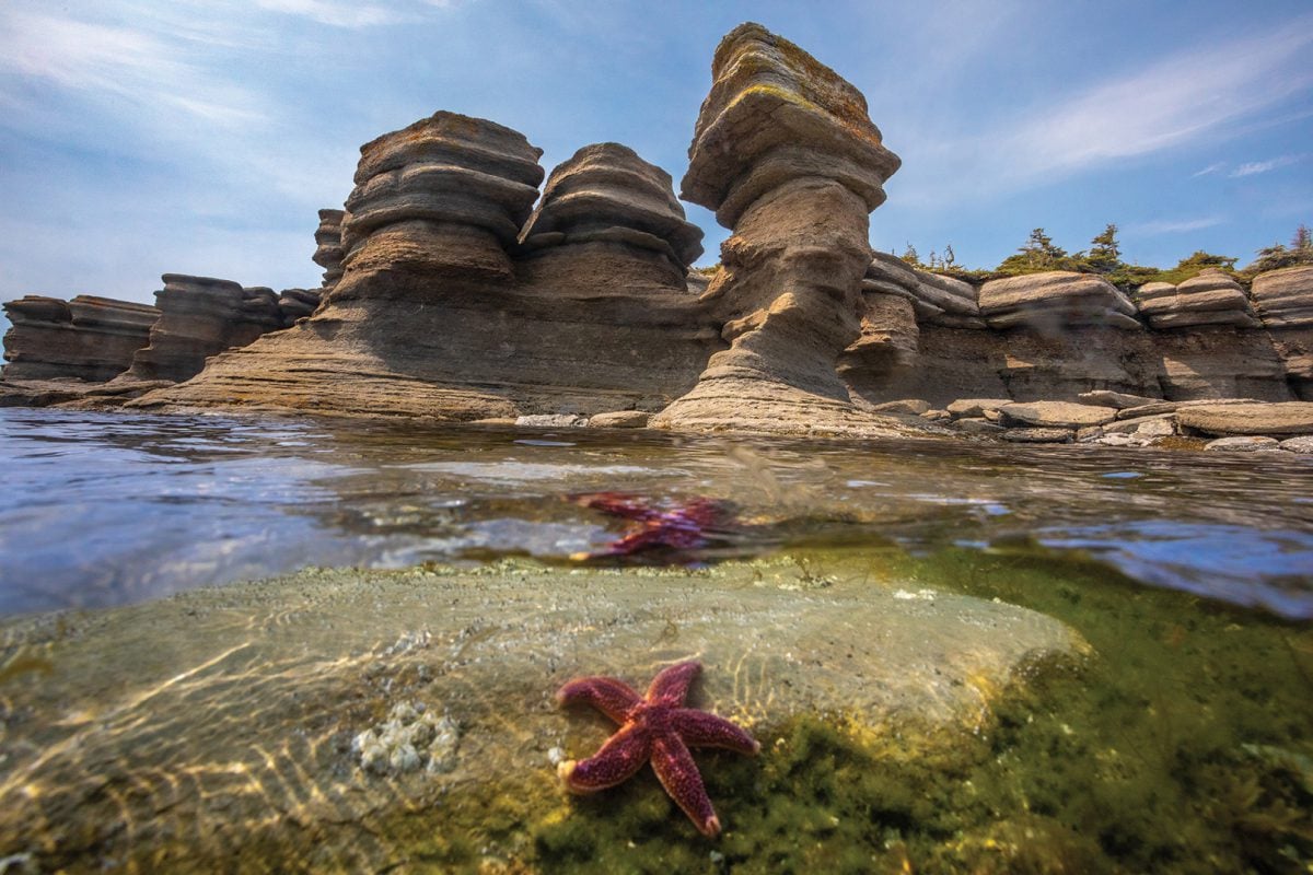 Image Source: https://canadiangeographic.ca/articles/the-mingan-archipelago-a-land-shaped-by-time/