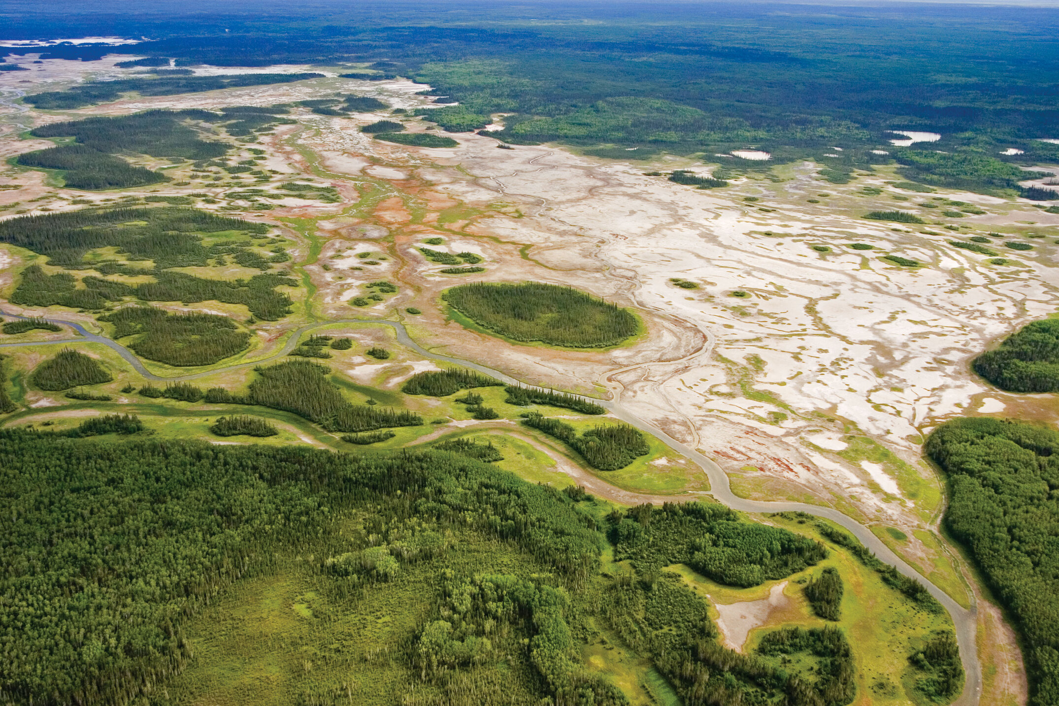 Image Source: https://spectacularnwt.com/story/wood-buffalo-big-park-no-bull/